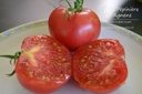 Tomate à fruits charnus 'Rose de Berne' - la Pépinière d'Agnens