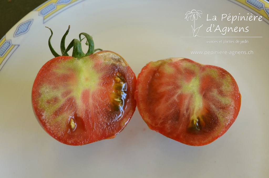 Tomate à fruits moyens 'Black Zebra'- La pépinière d'Agnens