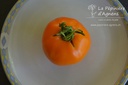 Tomate à fruit charnu 'Boule d'Or'- La pépinière d'Agnens