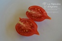 Tomate cerise 'Vésuve'- La pépinière d'Agnens