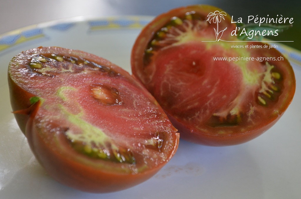 Tomate à fruits charnus 'Noire de Crimée'- La pépinière d'Agnens