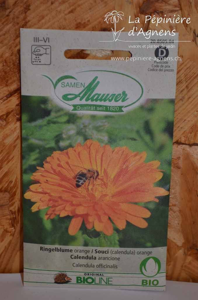 Calendula officinalis