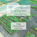 Assortiment plantes pour tisanes